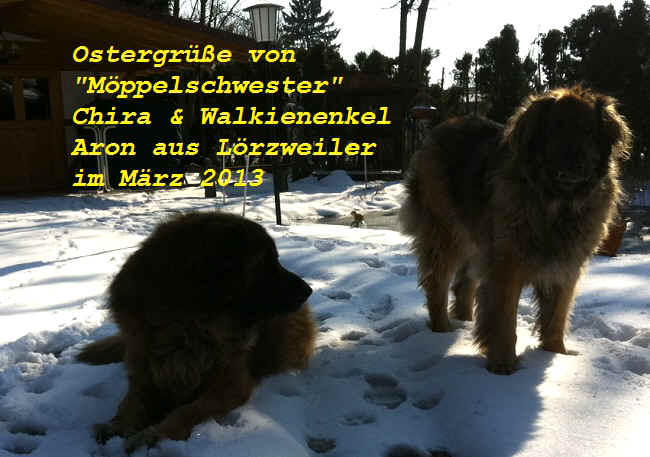 Links liegt Walkienenkel Aron - Rechts Schwester Chira Boudicce