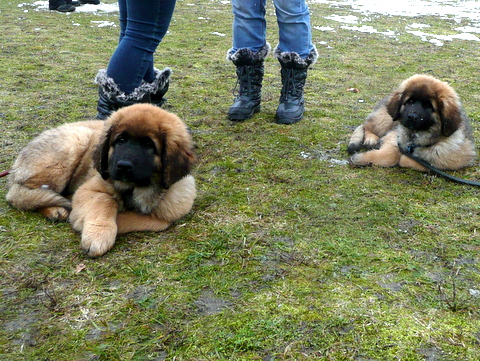 Links Anna-Boudicce und Rechts Alina-Laila