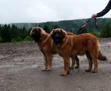 Anna(vorn)  mit Schwester Alina