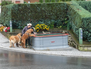 Am Dorfbrunnen